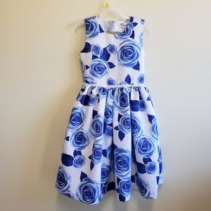 Nannette Girl's White Sleeveless Dress With Blue Roses Formal Size 10